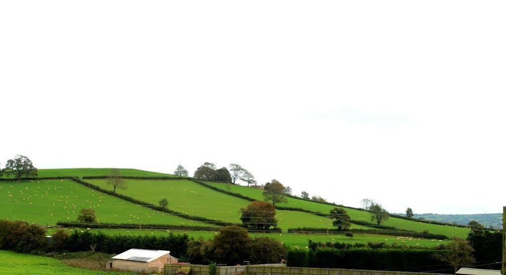 The Cannards Well Shepton Mallet Kültér fotó